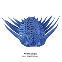 Figurines imprimées en 3D FDM de Trilobite Fossile Aimanté Kettneraspis, Mascotte de Dessin Animé, à Segments Mobiles, pour Collections et Éducation