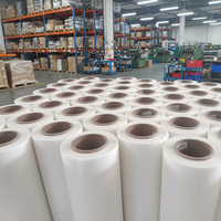 HyperTransprint - Lámina DTF A3 de 30 cm, Película PET de Doble Cara, Transferencia de Calor Instantánea a Alta Temperatura, Papel de Transferencia Térmica en Frío, Negro