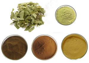 Bubuk ekstrak rumput Horny Goat 98% ekstrak Icariin Epimedium - Product Image 2