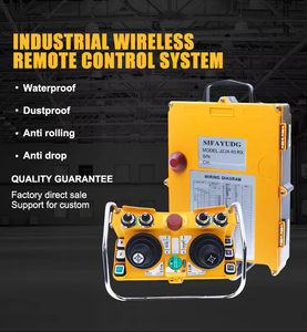 Grue à télécommande de camion de vente directe d'usine pour des tunneliers - Product Image 2