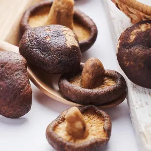 Grosir makanan ringan sayuran kering curah ekspor Tiongkok kepingan jamur shiitake kering