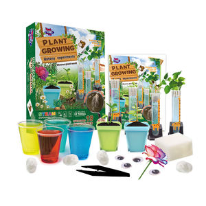 Kits de culture de plantes pour laboratoire éducatif STEM avec logo personnalisé pour un usage domestique, cadeaux d'anniversaire pour enfants de 5 à 13 ans - Product Image 1