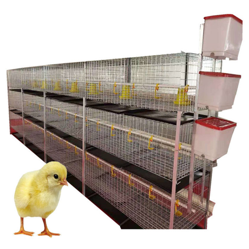 Melhor Preço Poultry Farm Equipment Automatic Chicken Layer Battery Cage Sheet Fornecido Chicken Coop 3 Camadas 2 Chicken House 68