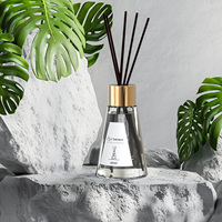 Ensembles de diffuseurs à roseaux décoratifs pour la maison bouteille de diffuseur à roseaux conique lot de 3 diffuseurs de parfum de maison avec boîte
