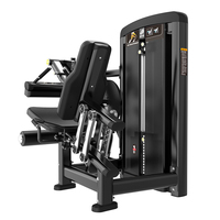 BRTW Appareil Commercial Réglable pour Flexions et Extensions des Jambes avec Poids de 96+4,6 kg pour Équipement de Fitness en Salle de Sport