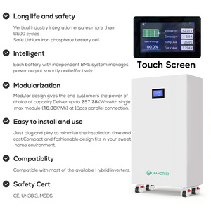 Nuevo Sistema de Almacenamiento de Energía Solar, Batería de 48V 200Ah 314ah 16Kwh 10Kwh, Batería Solar Doméstica de Iones de Litio M16S100BL-V - Product Image 2