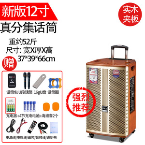 JBA Dynasty 8 Inch Trolley Speaker With Bluetooth Karaoke For Outdoor <b>Square</b> Dance Home Use - Product Image 5