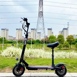 OEM 10 ''escooter 800W 15AH 45 كجم قوية على الطرق الوعرة الذاتي موازنة الدهون الكبيرة حقيبة مقعد دراجة بخارية صغيرة كهربائية قابلة للطي