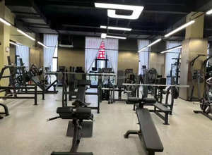 Тренажер TZfitness GC-5041 коммерческий, двухпозиционный, для разгибания бедер на 45 градусов, с нагрузкой от дисков, для тренировки ягодиц и ног в спортзале - Product Image 5