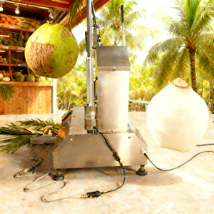 Máquina Peladora de Cocos con Forma de Diamante para Restaurantes Tailandeses y Vietnamitas - Product Image 1