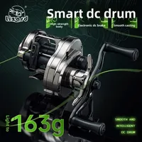 Moulinet de pêche Lizard DEMON DC Gun-Smoke Color Nylon Baitcasting avec frein électronique, anti-recul, léger, pour gaucher