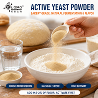 Levure active en poudre à haute viabilité, levure de fermentation, poudre jaune-brun clair pour boulangerie et pâtisseries de blé fermentées à la vapeur