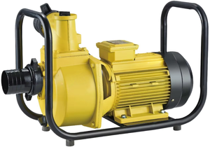 Overland Ménage Natation Irrigation Agricole DC Solaire Pompe De Surpression D'<span class=keywords><strong>eau</strong></span> <span class=keywords><strong>Pas</strong></span> <span class=keywords><strong>Cher</strong></span> En Acier Inoxydable Vis Centrifuge MPPT - Product Image 2