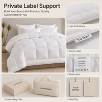 Couette Blanche Taille Personnalisée pour Hôtels, Toutes Saisons (Été, Hiver), Direct Usine, Fournisseur Exportateur