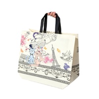 Sac écologique en non-tissé laminé, en stock, imperméable, réutilisable, pour courses, emballage de détail, impression personnalisée