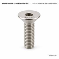 Vis à tête fraisée marine Allen 316 M5 M6 M8 M10 M12 CSK à tête plate à six pans creux DIN7991 A4-80 résistante à l'eau de mer