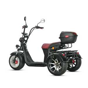 Nouveau modèle loyaux Citycoco : Scooter électrique à 3 roues, Citycoco 3000W, Tricycle électrique à pneus larges, Tricycle à trois roues 4000W - Product Image 5