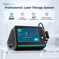 Centre équestre, machine de thérapie laser vétérinaire de classe 4 non invasive 635nm 810nm 915nm/980nm 1064nm pour la gestion de la douleur