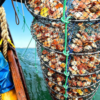Corde marine en PP/PE non absorbante pour l'aquaculture de crevettes flottante
