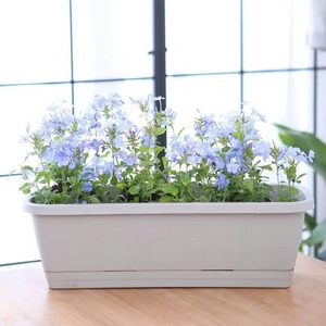 Fenêtre Boîte Résine <span class=keywords><strong>Rectangulaire</strong></span> Fenêtre Jardinières Légumes Conteneur Balcon Jardin Fleur Plante Pot Fleur Plastique CLASSIQUE - Product Image 6