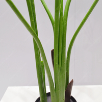 Presque naturel faux Strelitzia plante voyageurs verdure intérieur maison bureau hôtel décoration plastique artificiel bananier