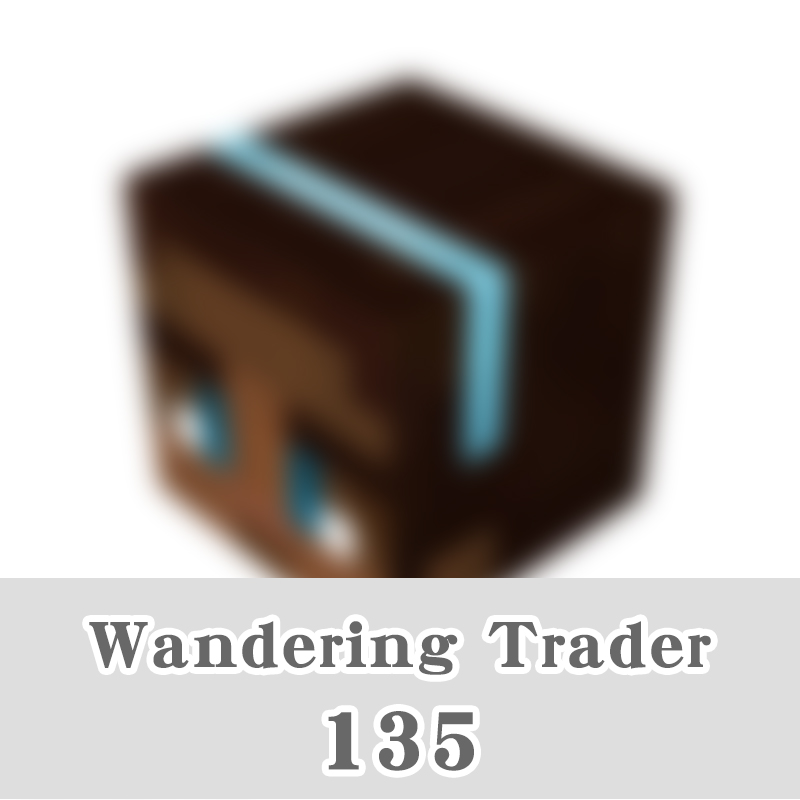 135-comerciante errante14