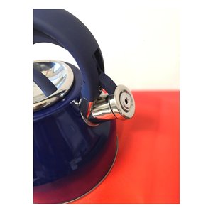 Bollitore Inox (3Lt) con fischietto Blu GNMWHITE006 - Product Image 4