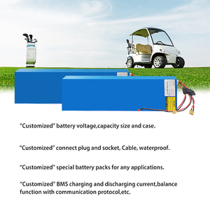 รถเข็น LiFePO4แบตเตอรี่ลิเธียม48V แบบพกพา30Ah 60V 72V - Product Image 6