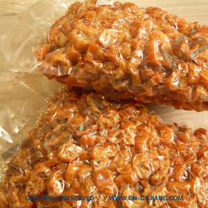 DaJiang DZ-260PD <span class=keywords><strong>Mini</strong></span> vakumlama makinesi makine | 260mm mühür çubuğu | Ev/ticari kullanım için 0.37KW kompakt tasarım - Product Image 3