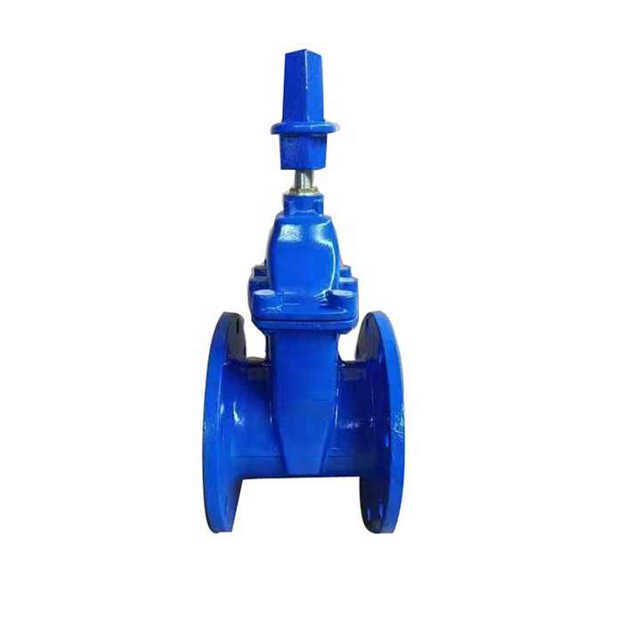 Non rising wedge type Ggg40 Ggg50 API DIN BS standard ductile iron flange direct buried resilient gate valve