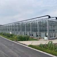 Serre agricole en verre commercial avec système hydroponique pour tomates, projet clé en main