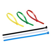 Attache de câble en nylon de reliure 150mm 200mm 250mm 300mm 350mm 400mmm 450mm 500mm 600mm Fil de nylon en plastique réutilisable libérable 1 sac