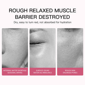 Siero Rosa PDRN Idratante Profondo Anti-Età per Pelle Secca e Sensibile con <span class=keywords><strong>Collagene</strong></span> Principale per Gambe/Braccia Vendita all'Ingrosso - Product Image 6