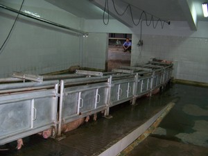 Оборудование для убоя свиней - Product Image 2