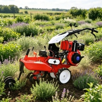 Offre Spéciale : Motoculteur Stable et Durable, Mini Motoculteur Rotatif pour Tracteur Agricole