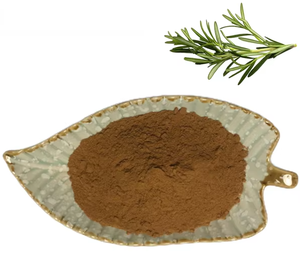 Chất chống oxy hóa tự nhiên 20% 30% 10:1 rosmarinic axit hương thảo bột hương thảo lá chiết xuất - Product Image 1