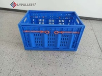 Caisses de stockage et de logistique pour fruits et légumes LYPALLETS, caisses à légumes de qualité alimentaire, caisses en plastique pliables/paniers