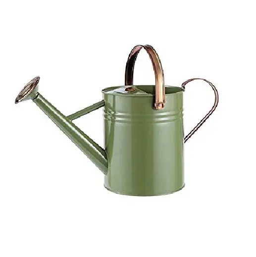 家と庭の装飾的な水杖最も人気のある売れ筋金属水缶ユニークなデザイン手頃な価格