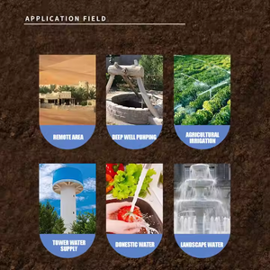 Ensemble de <span class=keywords><strong>pompe</strong></span> submersible industrielle AC 4SDM4/6 220V 0,75KW, <span class=keywords><strong>pompe</strong></span> <span class=keywords><strong>solaire</strong></span> pour puits profonds DTH pour l'aquarium, l'<span class=keywords><strong>arrosage</strong></span> et l'irrigation - Product Image 6