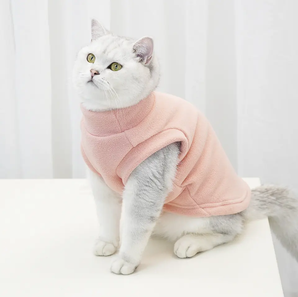 Wholesale pet clothes solid colour pet plush clothes for dogs and cats autumn and winter warm and soft Rocker fleece knitwear