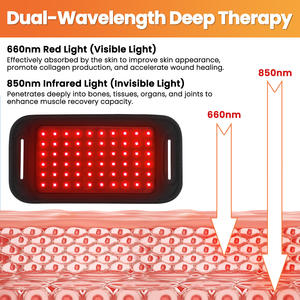 Cinturón de Terapia de Luz Roja Recargable por USB de Doble Longitud de Onda (660nm y 850nm NIR) para Alivio del Dolor de Espalda y Abdomen - Product Image 5