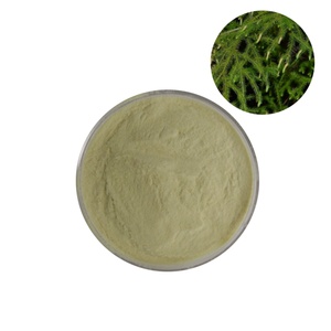 Polvo de Licopodio Chino al por Mayor, Polvo de Licopodio Pesado para Fuegos Artificiales - Product Image 1