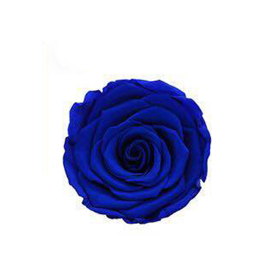 Bleu royal