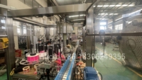 Équipement automatique pour la production de vin en bouteilles de verre, ligne de production de whisky et de vodka, machine de remplissage et d'embouteillage