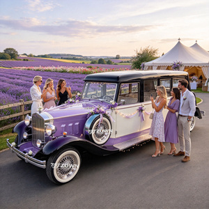 ZOWN Voiture électrique vintage élégante à toit ouvert, multiplaces, pour le tourisme et les parcs à thème - Product Image 1