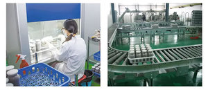 Panier en plastique pour ligne de production de champignons, utilisation durable de qualité alimentaire et en plusieurs étapes - Product Image 4