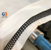 Filet de drainage géocomposite 3D en HDPE pour la protection des couches de drainage des décharges, des tunnels, des routes, des sous-sols et des fondations