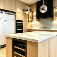 Meuble de cuisine modulaire moderne en bois massif, design sans poignée, îlot de cuisine de luxe, casier à vin, évier, tiroir coulissant, robinet
