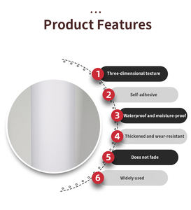स्टूडियो ग्राफिक विज्ञापन सजावटी पेंटिंग के लिए कोल्ड माउंटेड प्लास्टिक फिल्म वाटरप्रूफ एंटी-फॉलिंग के लिए एंटी-फॉलिंग - Product Image 5