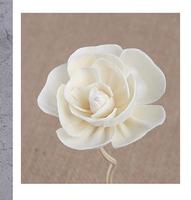 Tout Sola Diffuseur Bois Fleurs Anches Diffuseur Bulk Sola Fleur avec Câble Métallique